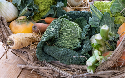 Panier de légumes bio 