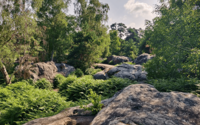 Rocky landscape visible during the walk