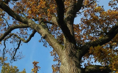 Sortie Parc Floral avec EcoNature